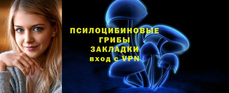 Галлюциногенные грибы Psilocybe  дарк нет состав  Дедовск  где найти наркотики 